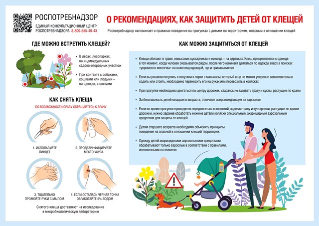 20250604 Как защитить детей от клещей