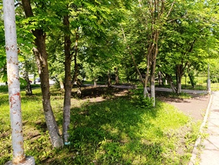 blag 20250603 081653