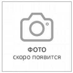 Foto scoro poyavitsya 236 235
